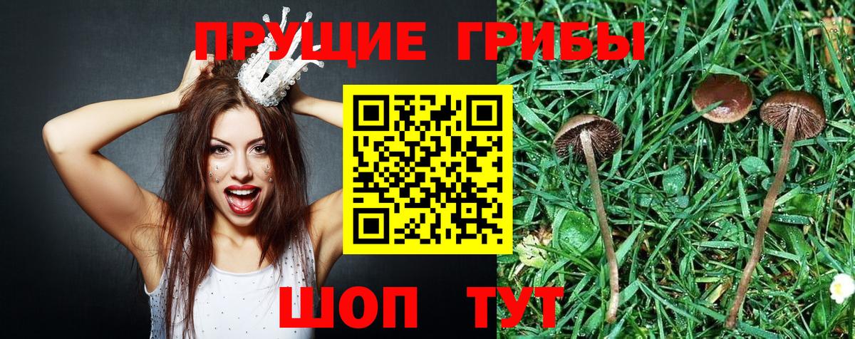 Галлюциногенные грибы ЛСД Жигулёвск