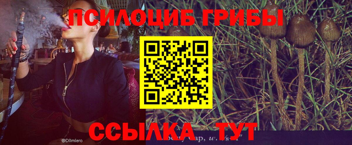 купить наркотики сайты  Галлюциногенные грибы мицелий  Вход с VPN  Галлюциногенные грибы мухоморы  Жигулёвск 